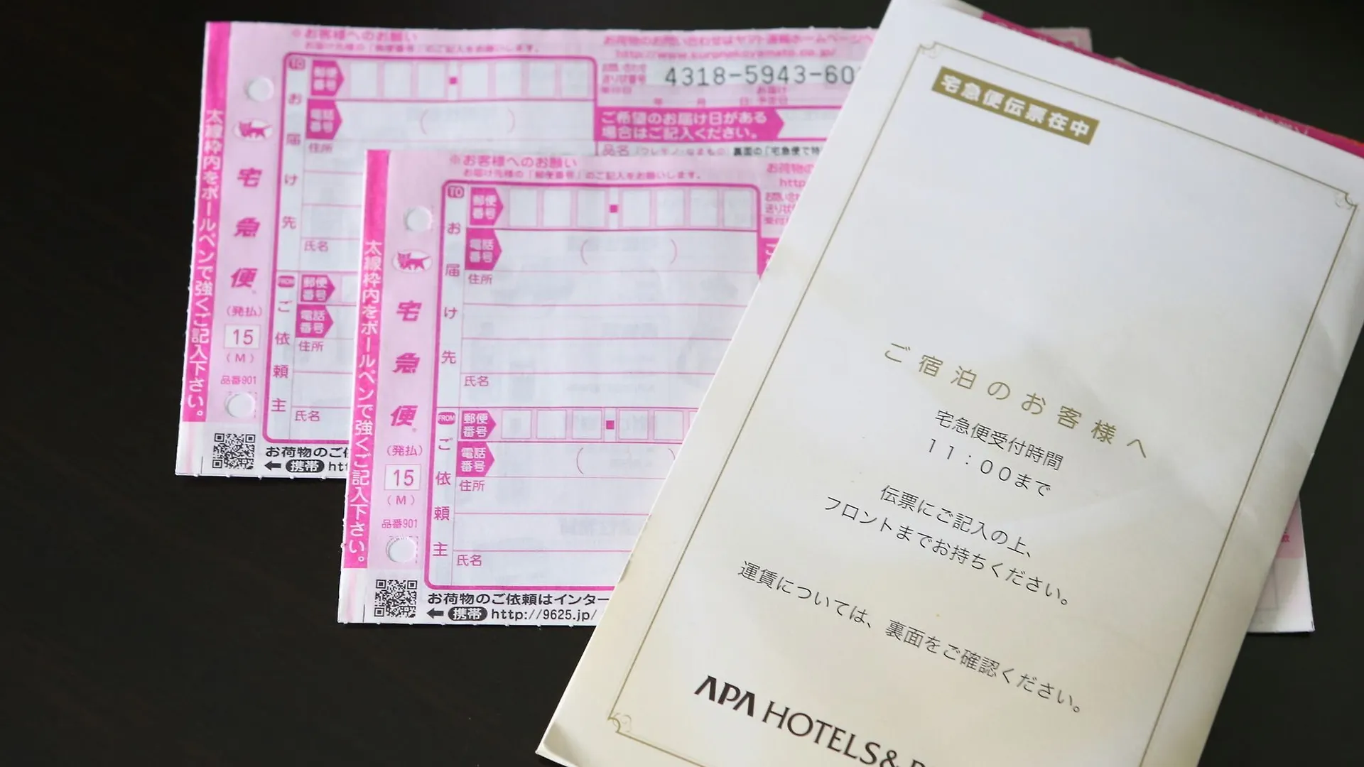 Apa Hotel Iidabashi Ekiminami Tōkyō