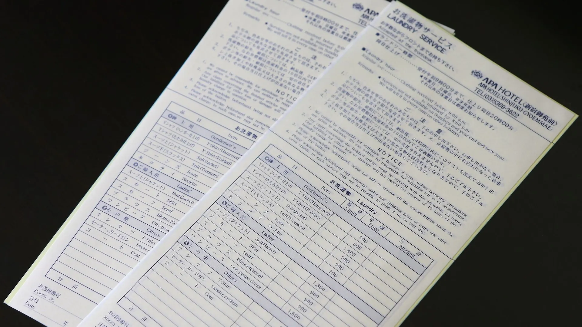 Apa Hotel Iidabashi Ekiminami Tokyo Japan